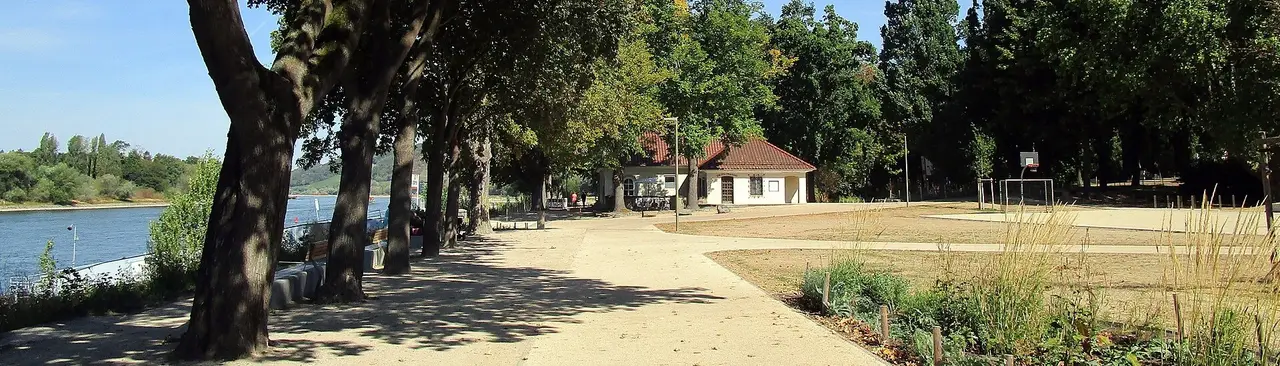 Baumgesäumte Promenade am Rhein auf der Insel Grafenwerth