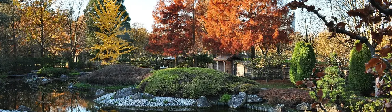 Herbstlicher Japanischer Garten mit Teich in der Bonner Rheinaue